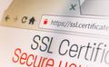 Did you already adjust your dealer website to ssl?